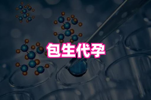 国际助孕网站 2
