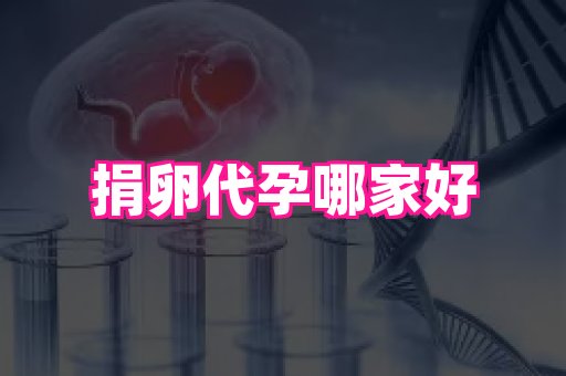 国际助孕网站 3