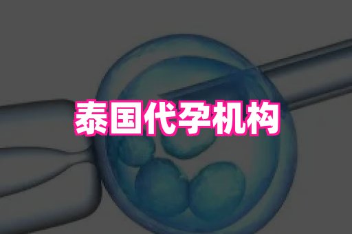 国际助孕网站 4